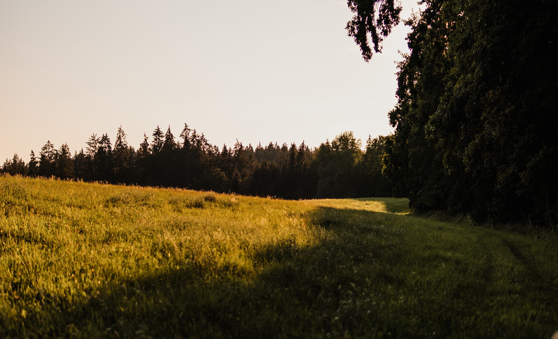 Natur & Körper im Einklang mit RINGANA